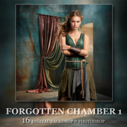 DGB Forgotten Chamber 1