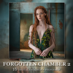 DGB Forgotten Chamber 2