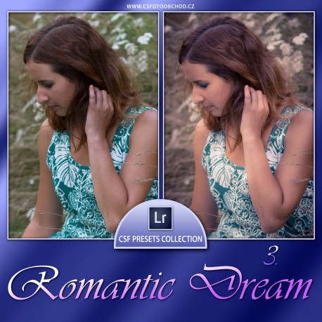 Romantic Dream 3