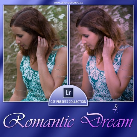 Romantic Dream 4