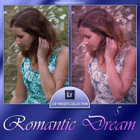 Romantic Dream 5