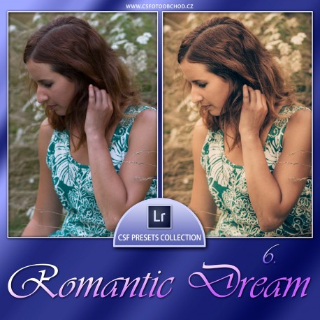 Romantic Dream 6
