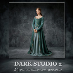 DGB Dark Studio 2