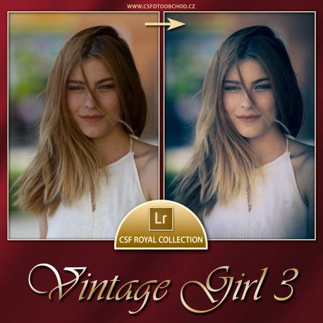 Vintage Girl 3