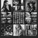 Cine Gallery LUT
