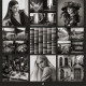 Cine Gallery LUT