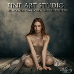 DGB Fine ART Studio 1