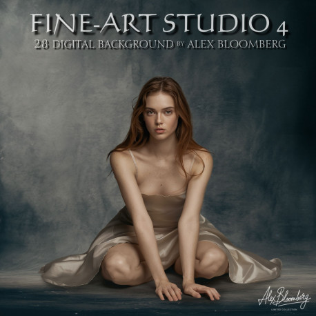 DGB Fine ART Studio 4