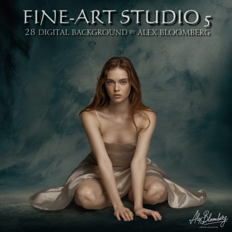 DGB Fine ART Studio 5