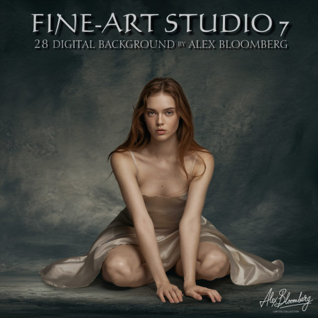 DGB Fine ART Studio 7
