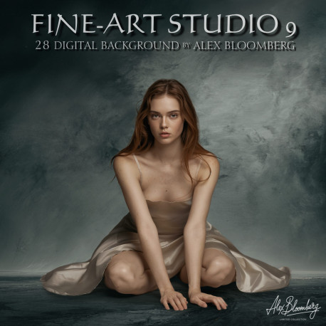DGB Fine ART Studio 9