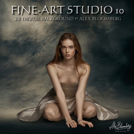 DGB Fine ART Studio 10