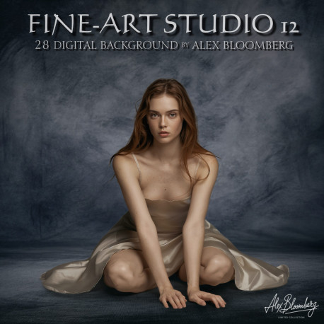 DGB Fine ART Studio 12