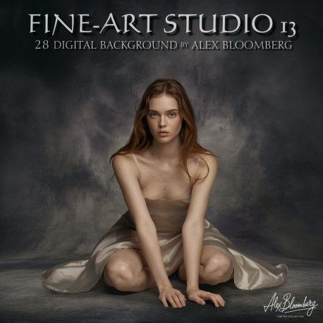 DGB Fine ART Studio 13