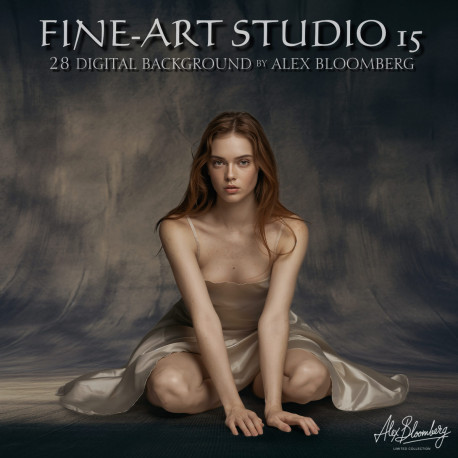 DGB Fine ART Studio 15