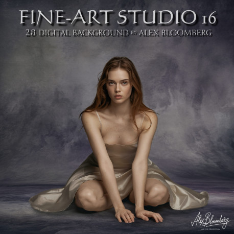 DGB Fine ART Studio 16