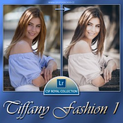 Tiffany Fashion 1