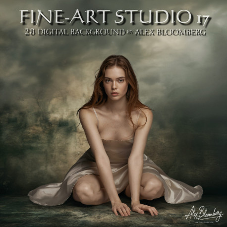 DGB Fine ART Studio 17