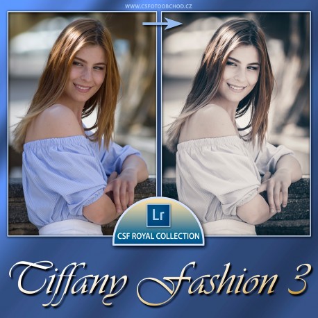 Tiffany Fashion 3