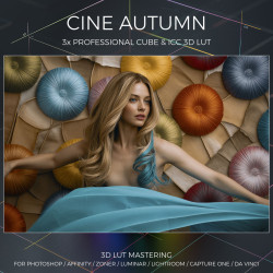Cine Autumn LUT