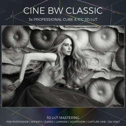Cine BW Classic LUT
