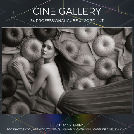 Cine Gallery LUT