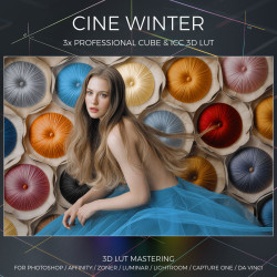 Cine Winter LUT