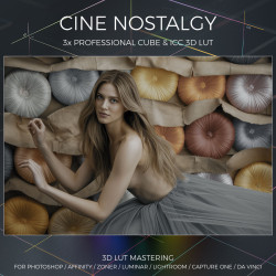 Cine Nostalgy LUT