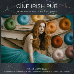 Cine Irish Pub LUT