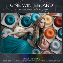 Cine Winterland LUT