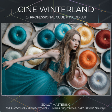 Cine Winterland LUT