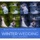 Winter Wedding LUT