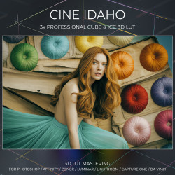 Cine Idaho LUT