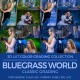 Bluegrass World LUT
