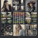 Cine Railroad LUT
