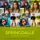 Springdalle LUT