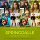 Springdalle LUT