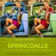 Springdalle LUT