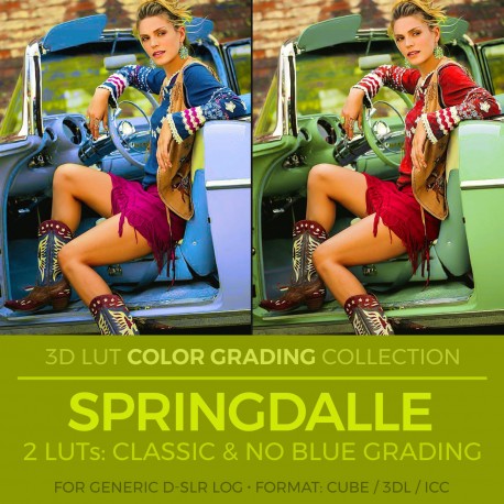 Springdalle LUT