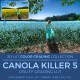 Canola Killer B