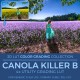 Canola Killer B