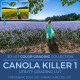 Canola Killer 1