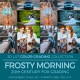 Frosty Morning