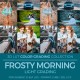 Frosty Morning