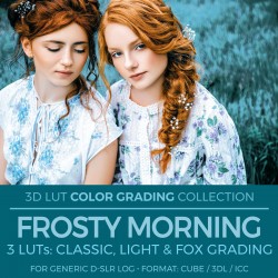Frosty Morning