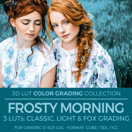 Frosty Morning