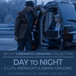 Day To Night LUT