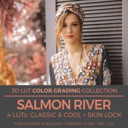 Salmon River LUT