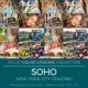 SOHO LUT