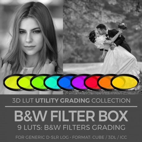 B&W Filter Box LUT